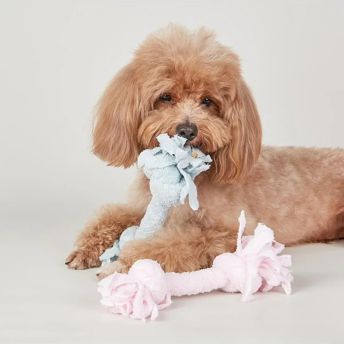 Fofos Terry Rope 2Knots Puppy Toy - Zigly