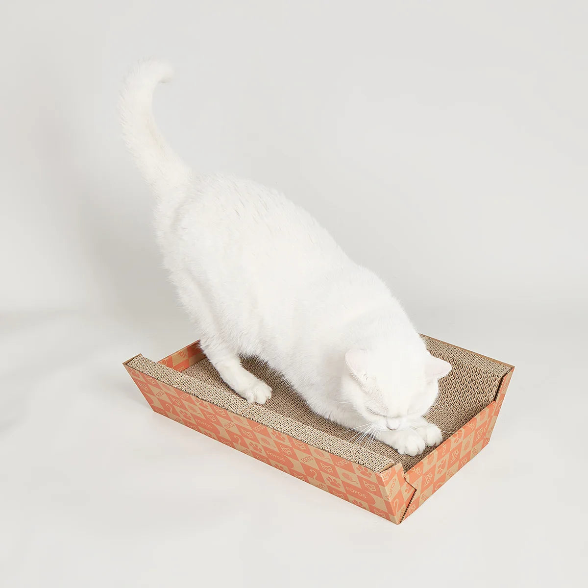 Fofos 2-In-1 Cat Scratcher Lounge - Zigly