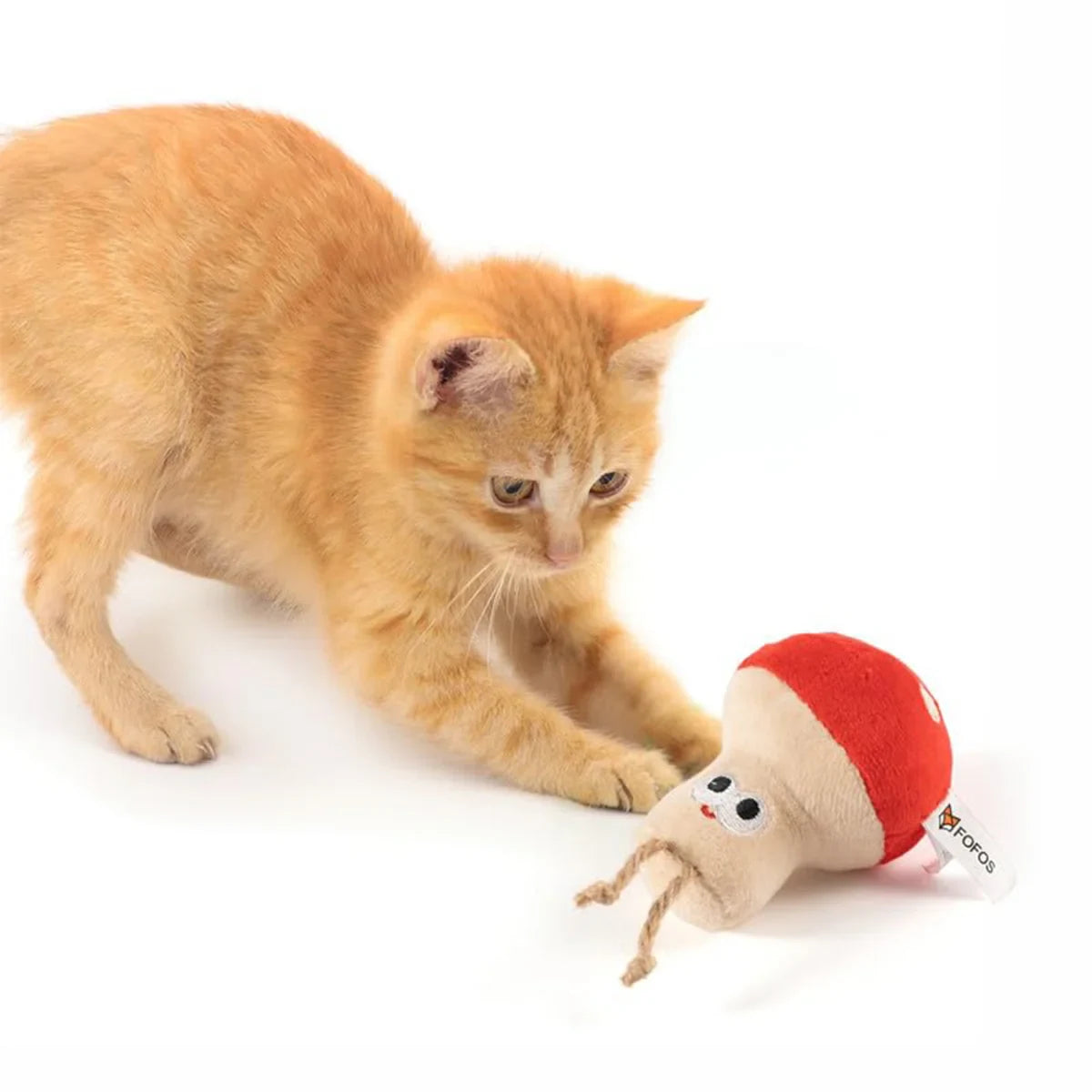 Fofos Mushroom Cat Toy - Zigly