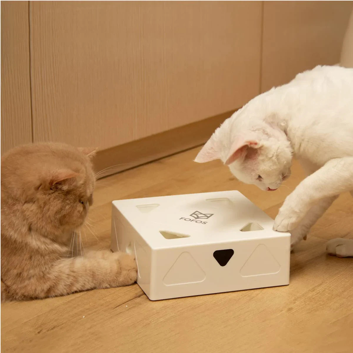 Fofos Erraticat Interactive Pir Toy Feather Replacement (6Pcs) - Zigly