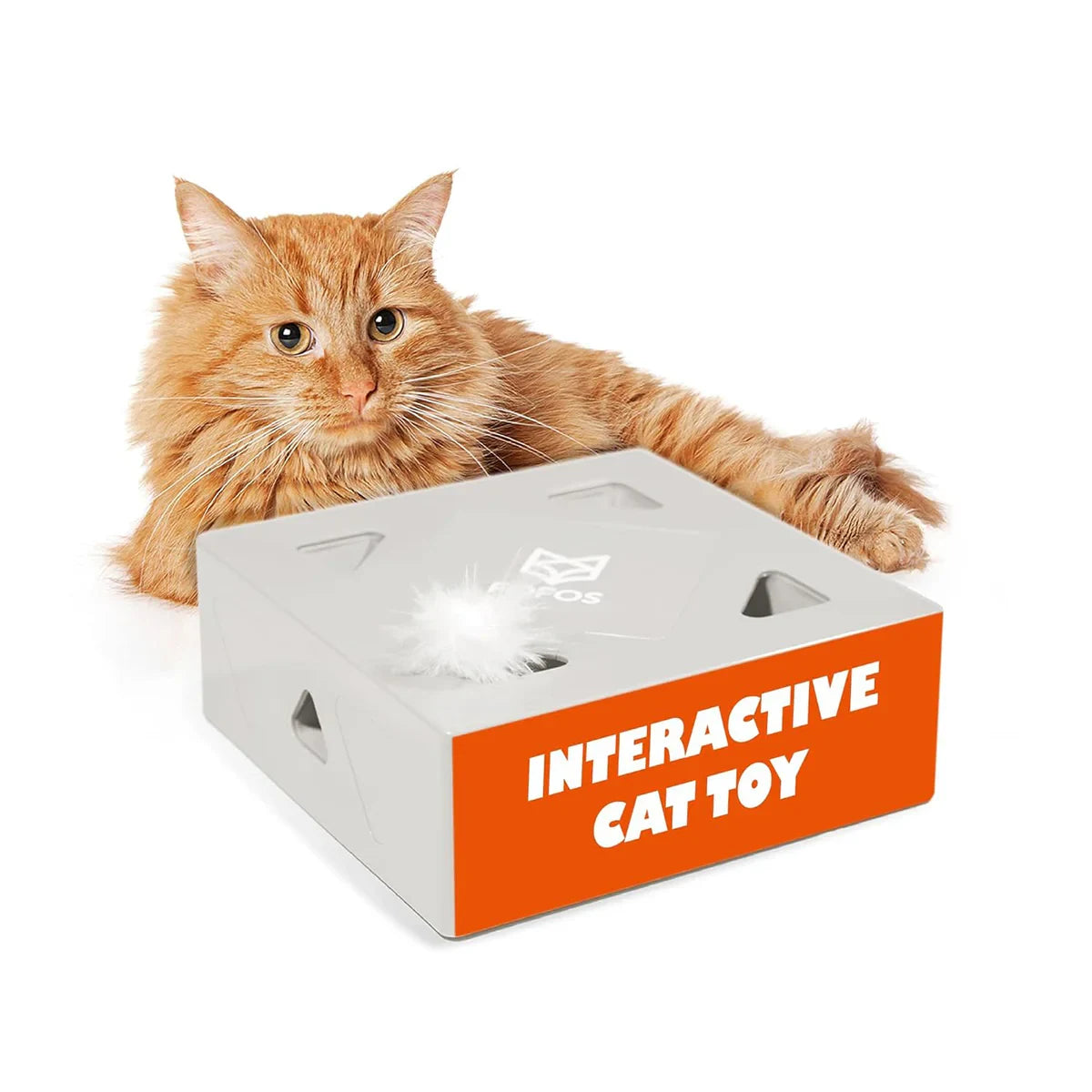 Fofos Erraticat Interactive Pir Toy Feather Replacement (6Pcs) - Zigly