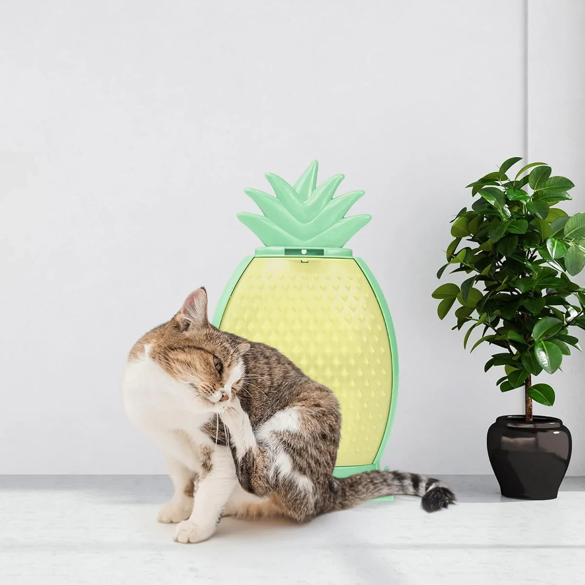 Fofos Pineapple Kitty Comber Cat Scratcher - Zigly