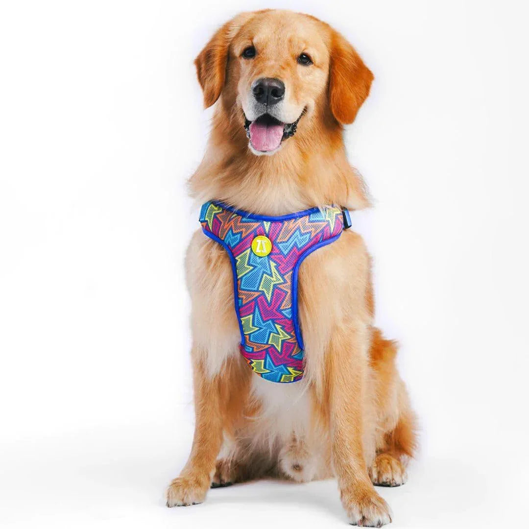 Zoomiez Adjustable Step-in Mesh Dog Harness - Bolt - Zigly