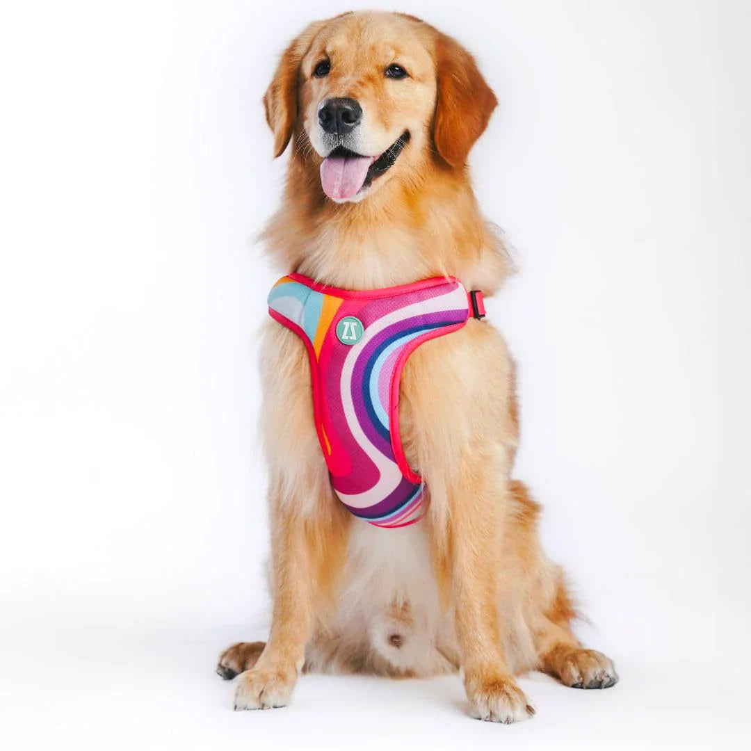 Zoomiez Adjustable Step-in Mesh Dog Harness - Swirl - Zigly