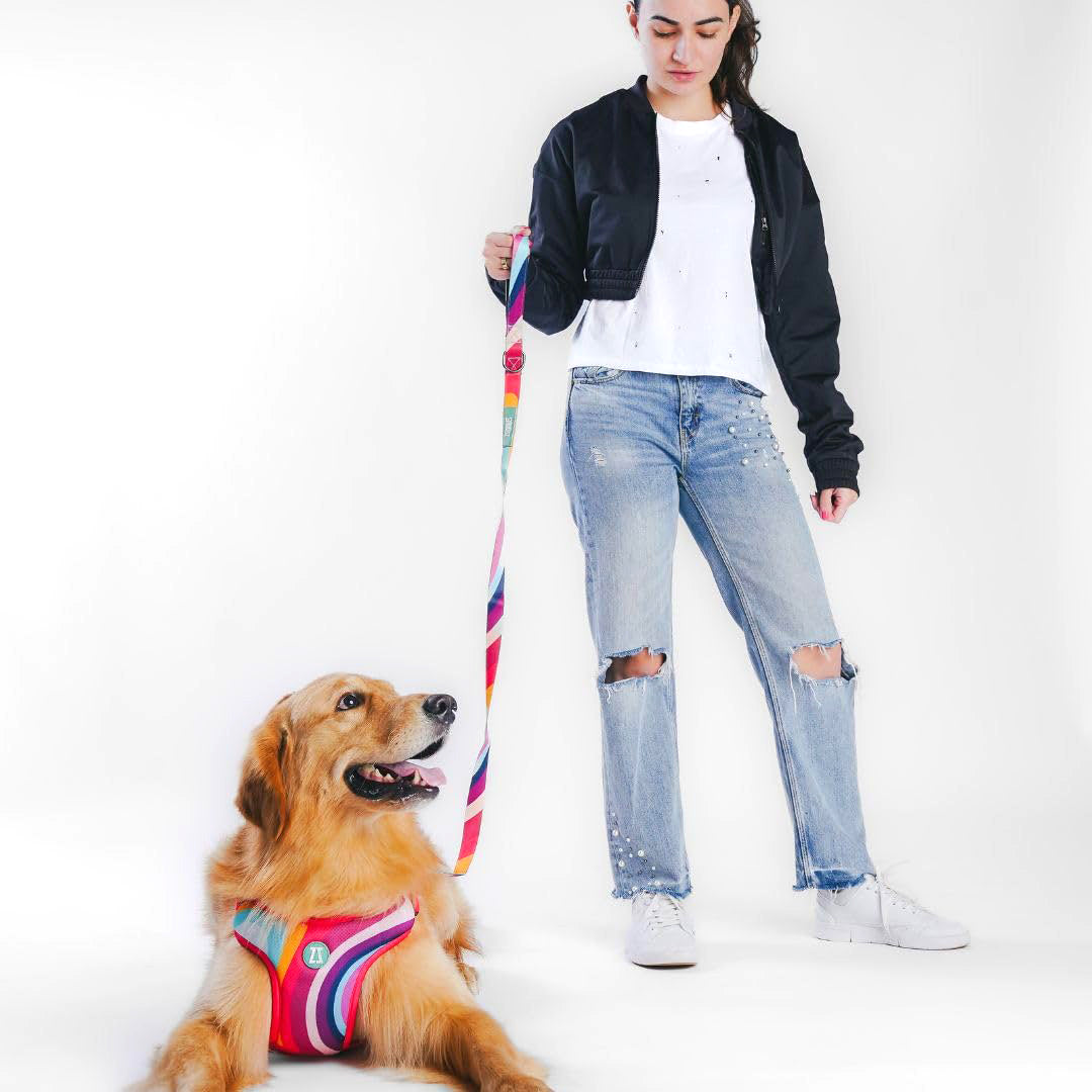 Zoomiez Adjustable Step-in Mesh Dog Harness - Swirl - Zigly