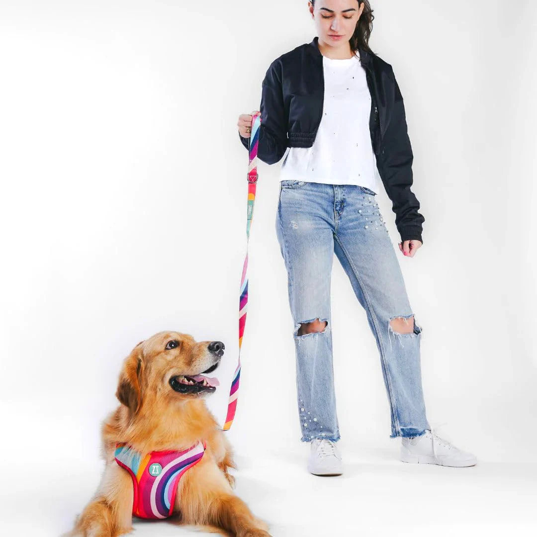 Zoomiez Adjustable Step-in Mesh Dog Harness - Swirl - Zigly