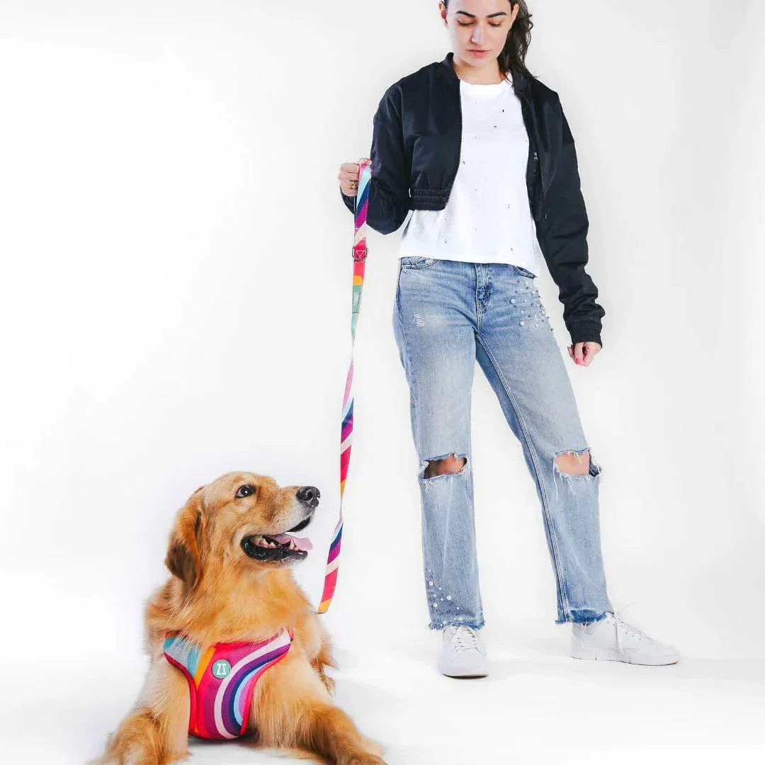 Zoomiez Adjustable Step-in Mesh Dog Harness - Swirl - Zigly
