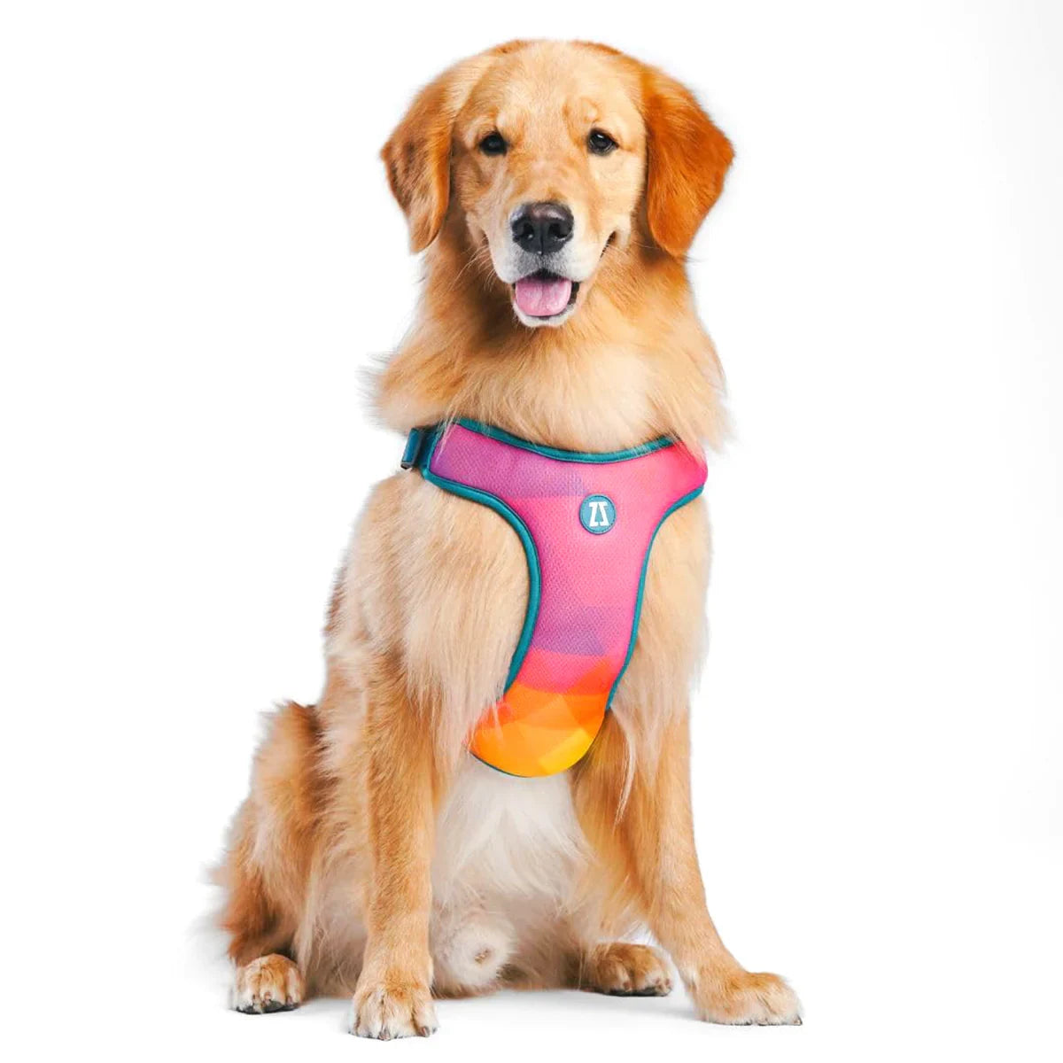 Zoomiez Adjustable Step-in Mesh Dog Harness - Solar - Zigly