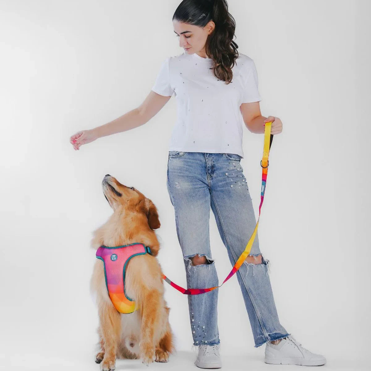 Zoomiez Adjustable Step-in Mesh Dog Harness - Solar - Zigly