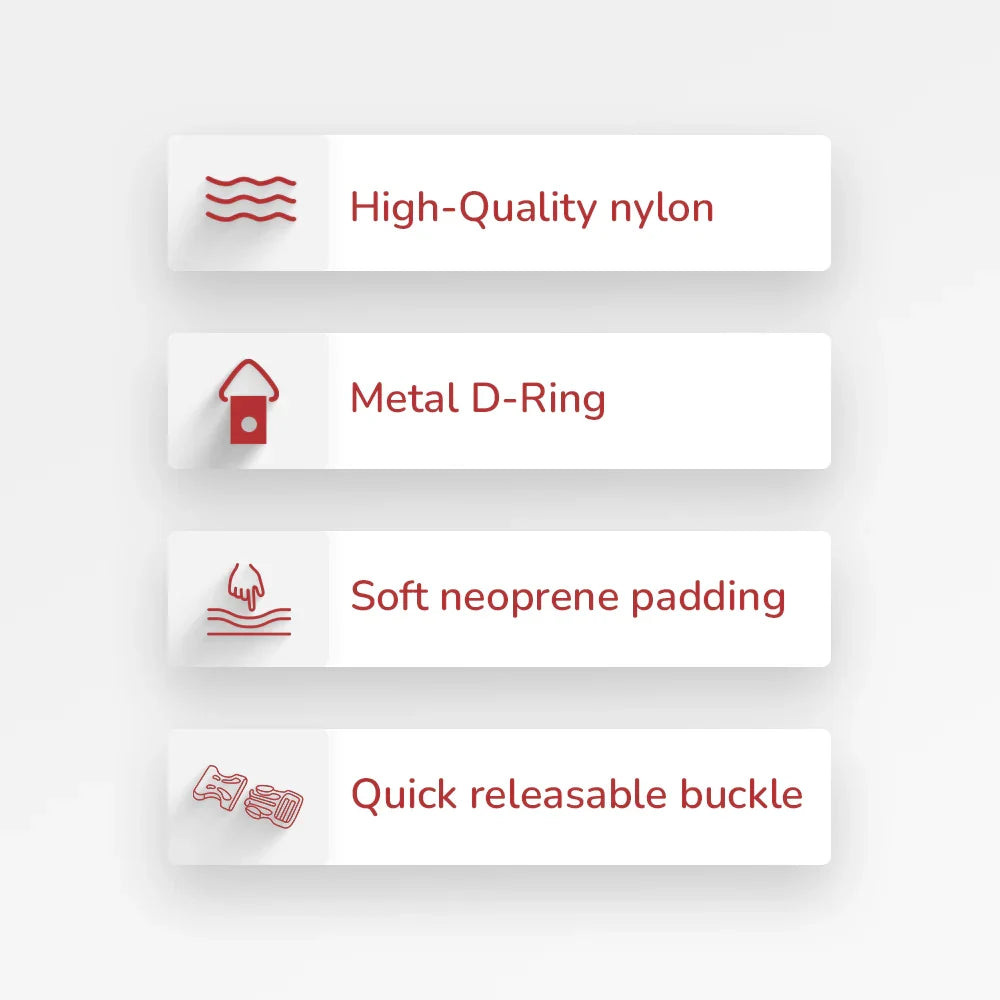 ZL Doodle Dog Collar-Blue - Zigly