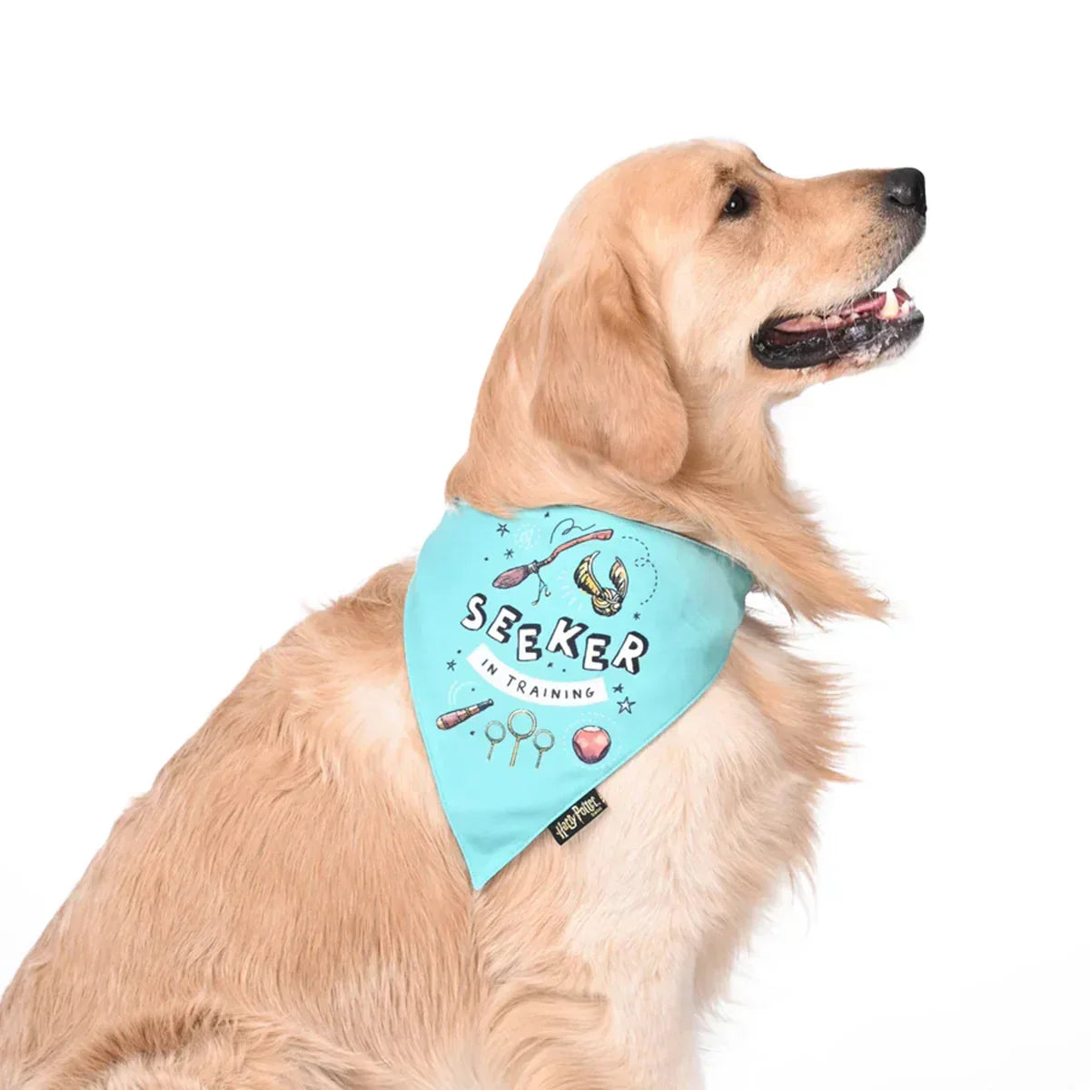 Harry Potter Dog Bandana - Sniff N' Seeker - Zigly