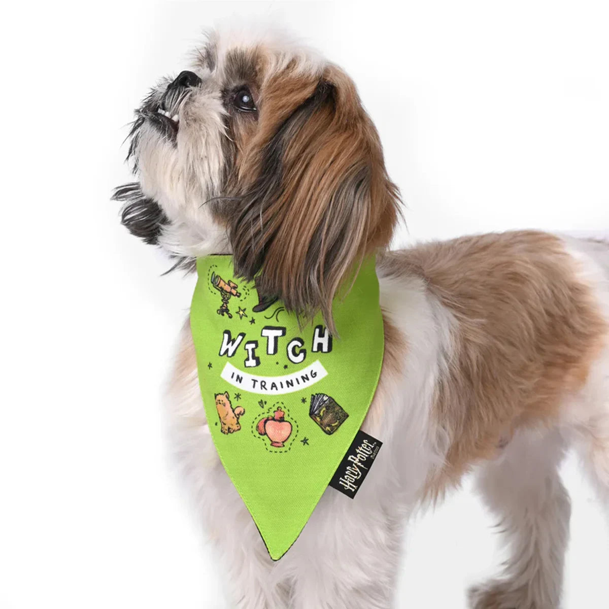 Harry Potter Dog Bandana - Woofy Witch - Zigly