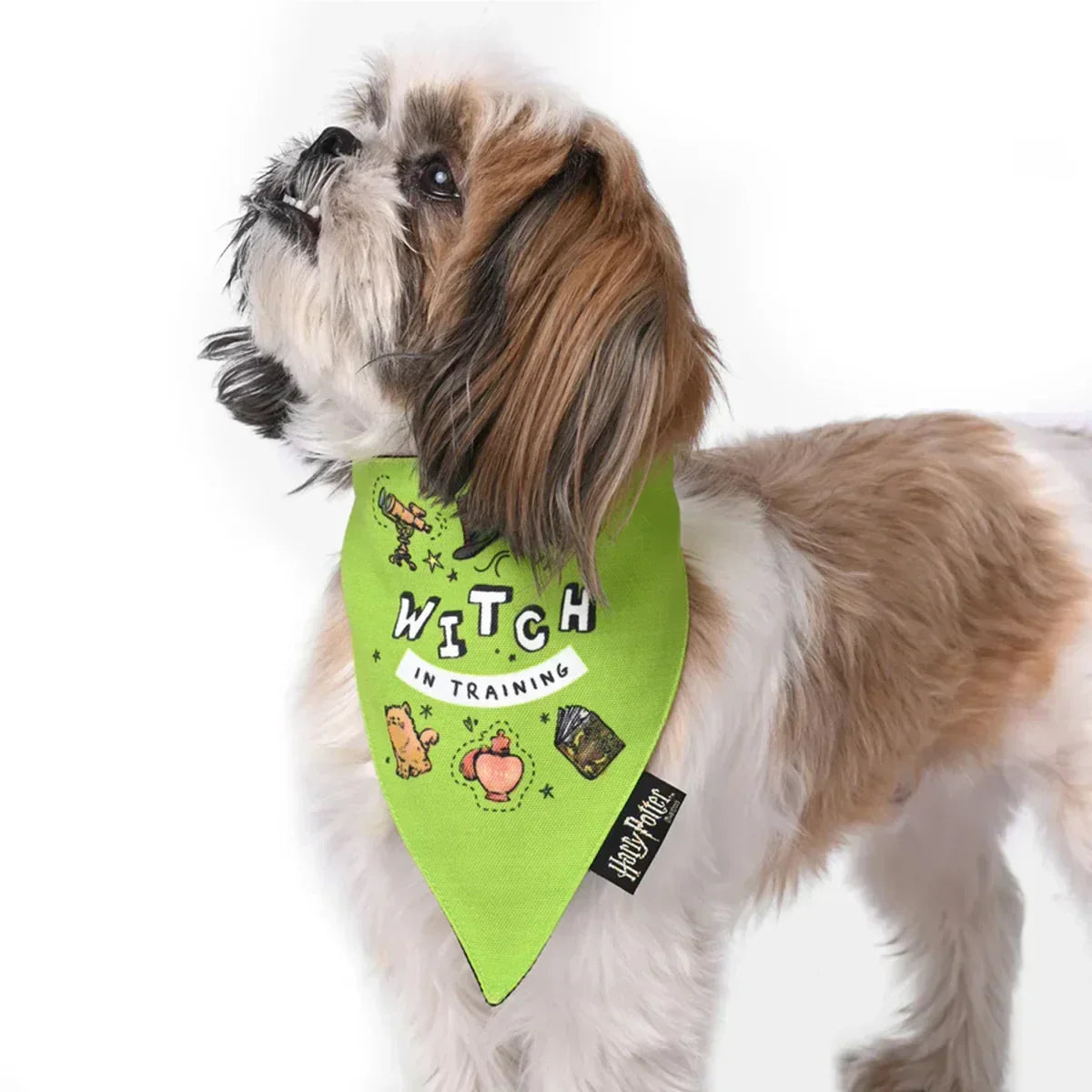 Harry Potter Dog Bandana - Woofy Witch - Zigly