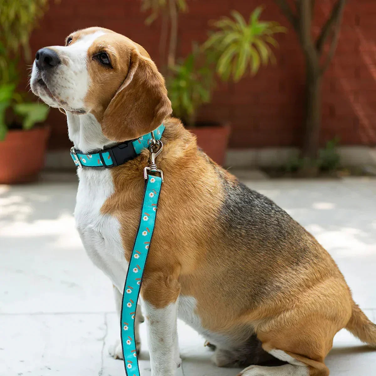 Mutt Of Course Eggs & Bacon Dog Leash - Zigly