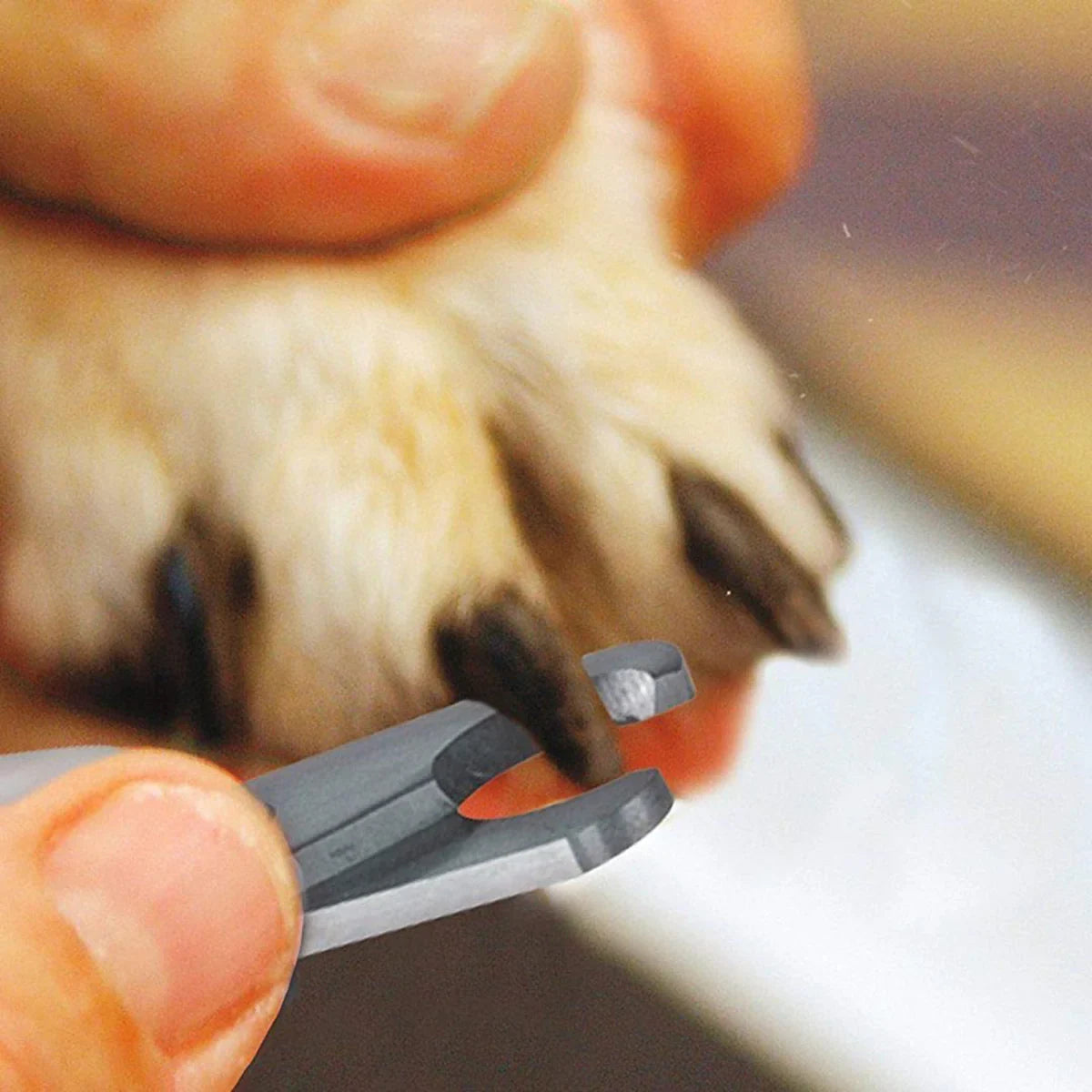 Wahl Power Grip Pet Nail Clipper for Cats & Dogs - Zigly