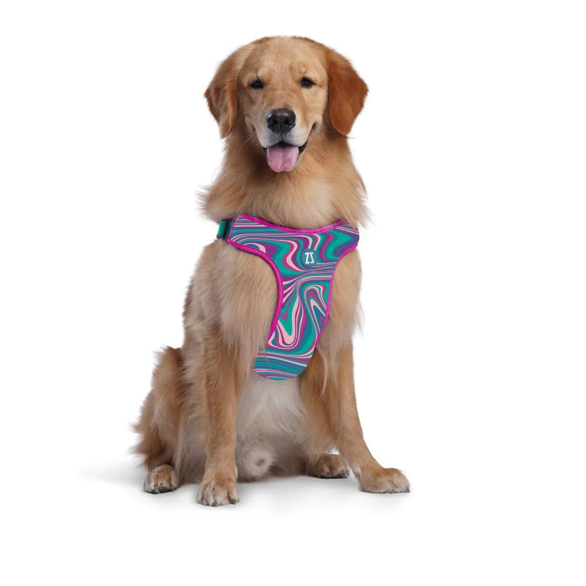 Zoomiez Adjustable Step-in Mesh Dog Harness - Fuse - Zigly