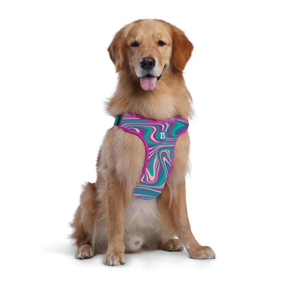 Zoomiez Adjustable Step-in Mesh Dog Harness - Fuse - Zigly
