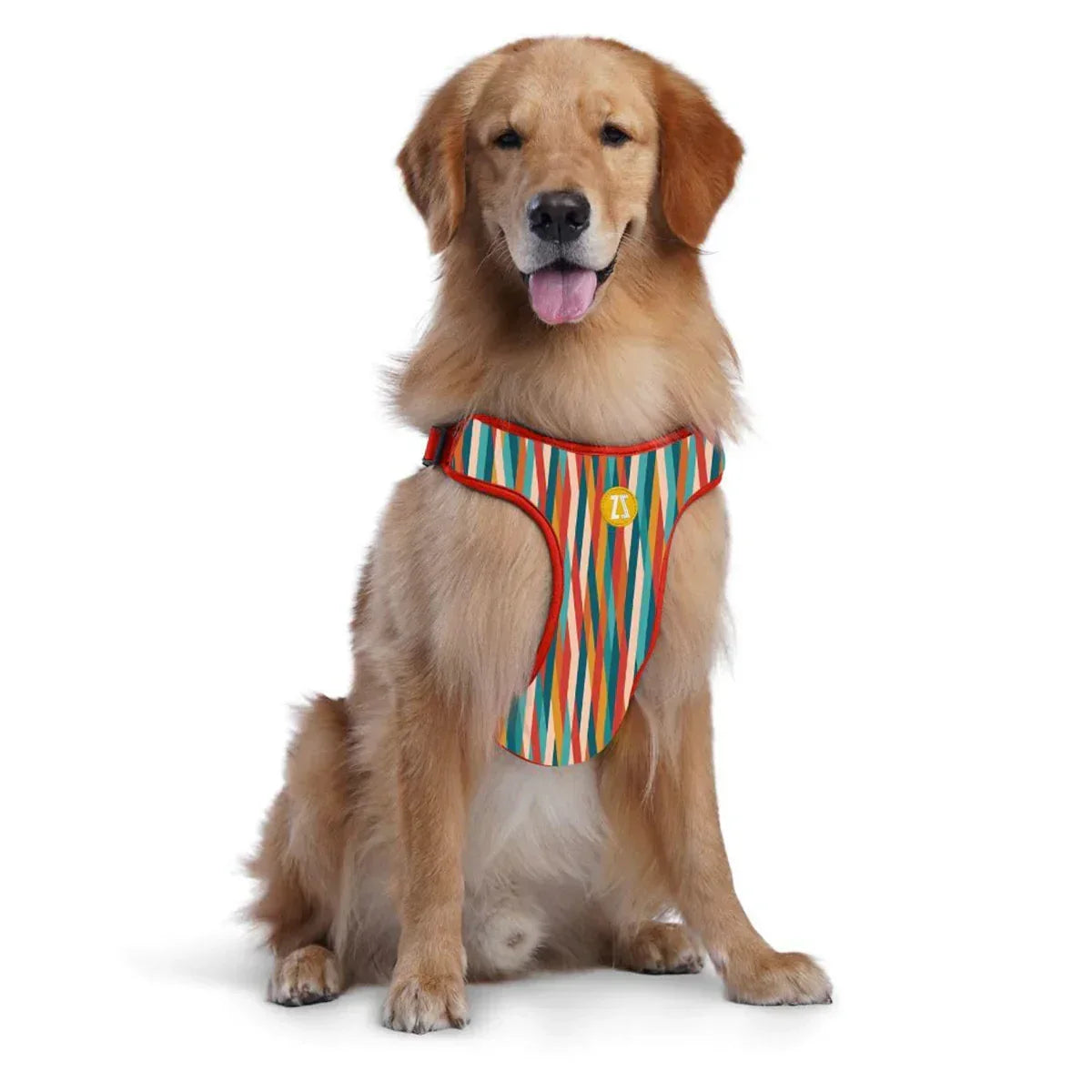 Zoomiez Adjustable Step-in Mesh Dog Harness - Tango - Zigly