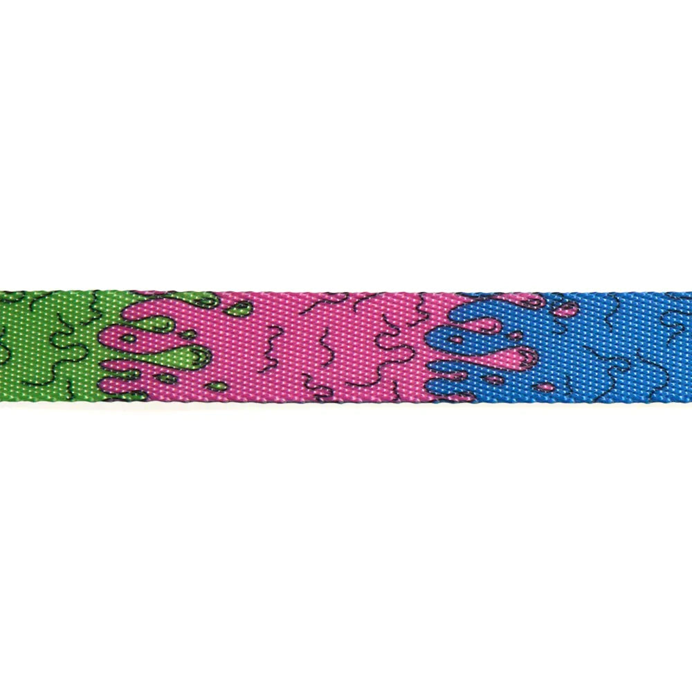 Zee Dog Melted Dog Leash - Zigly