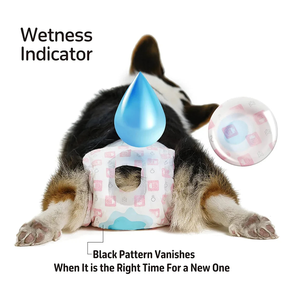 Fofos Diaper Female Dog - Zigly