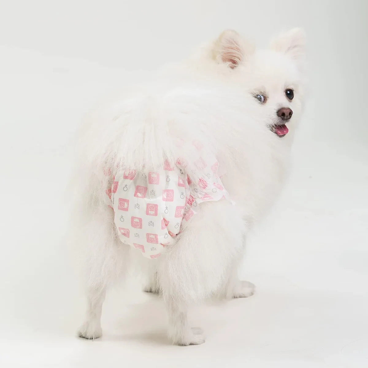 Fofos Diaper Female Dog - Zigly