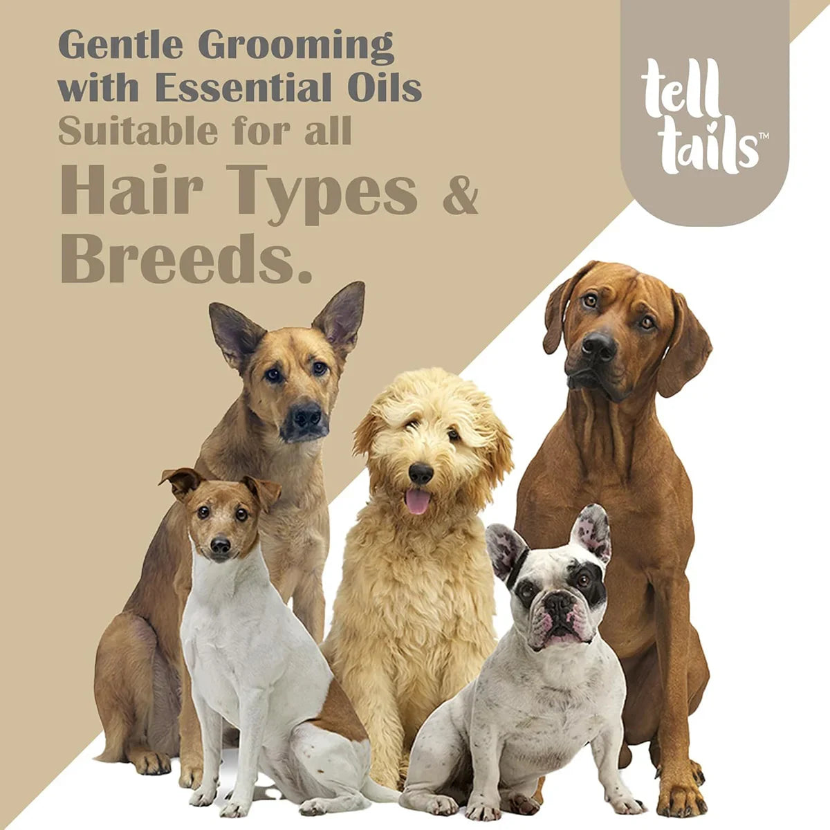 Tell Tails Itch No More Dog Shampoo - 250ml - Zigly