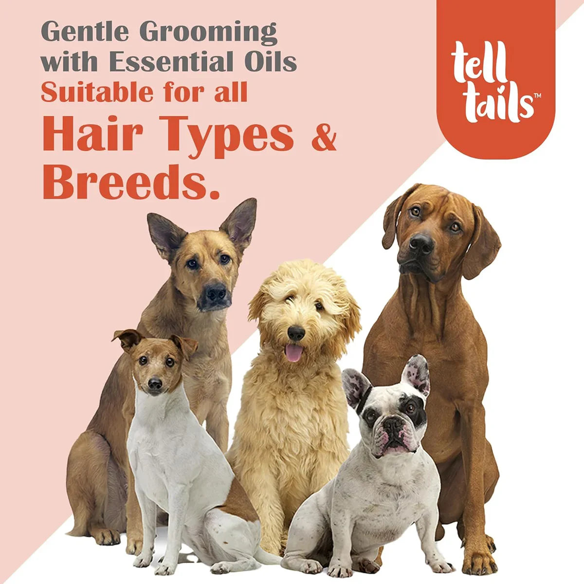 Tell Tails 2-in-1 Shampoo and Conditioner for Dogs - 250ml - Zigly