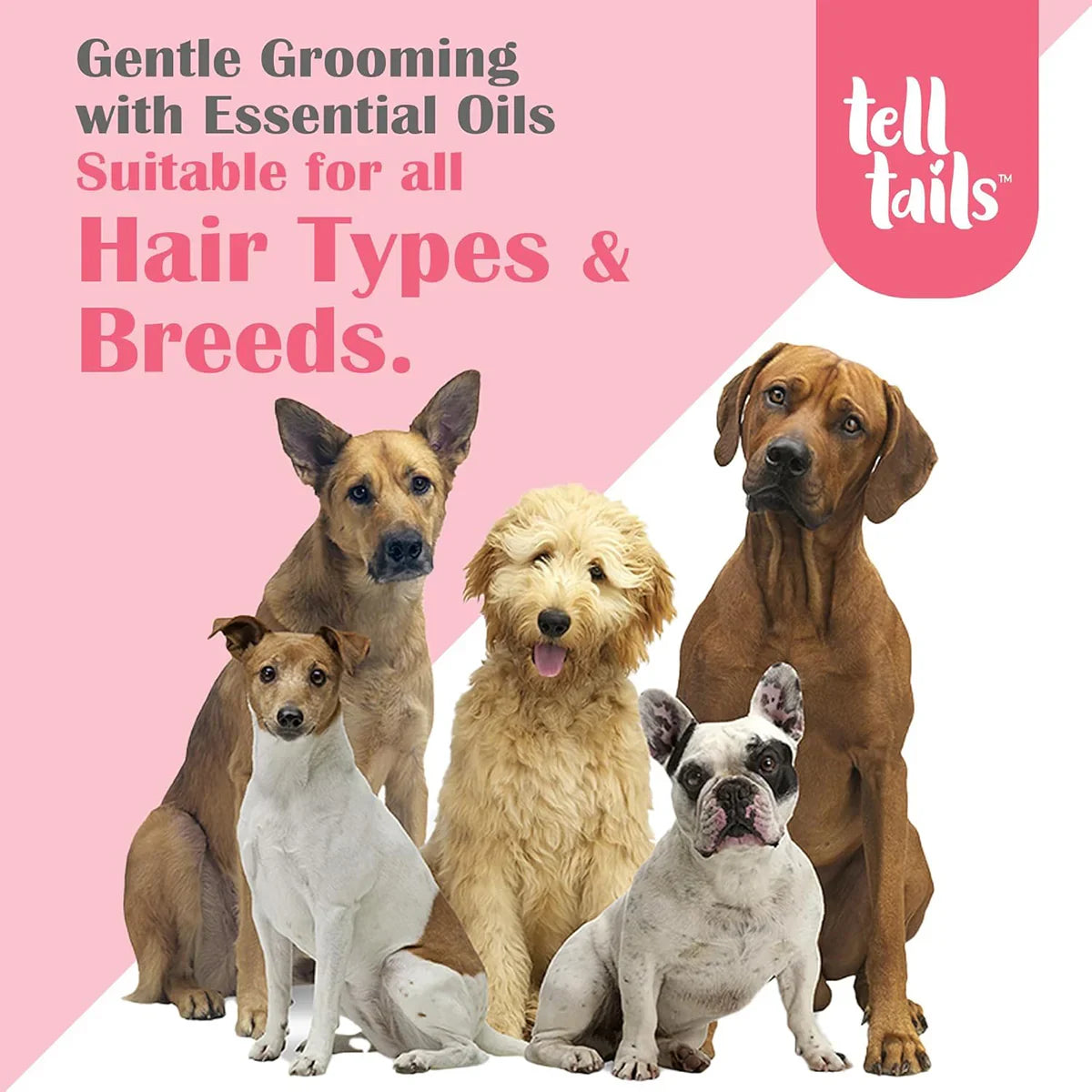 Tell Tails Short Coat Dog Shampoo - 250ml - Zigly