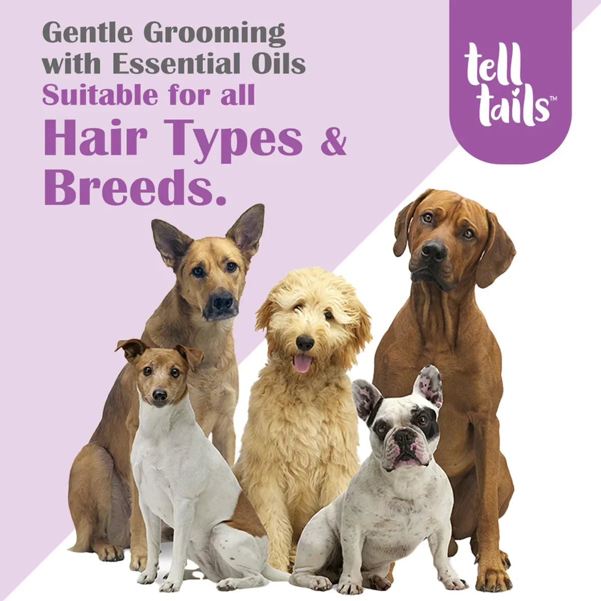 Tell Tails Anti-Dandruff Pet Shampoo - 250ml - Zigly