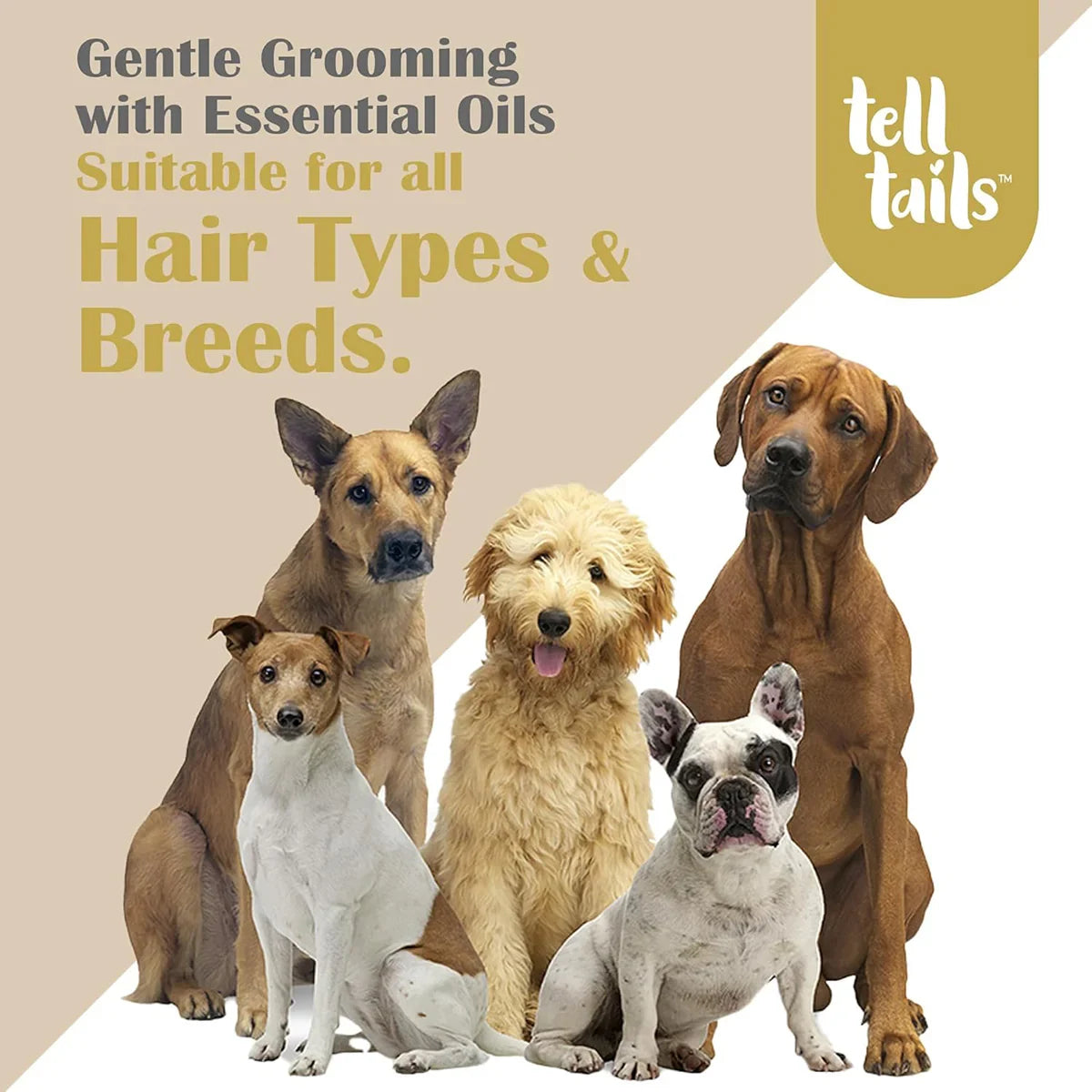 Tell Tails Paw Cream for Dogs - 50g - Zigly