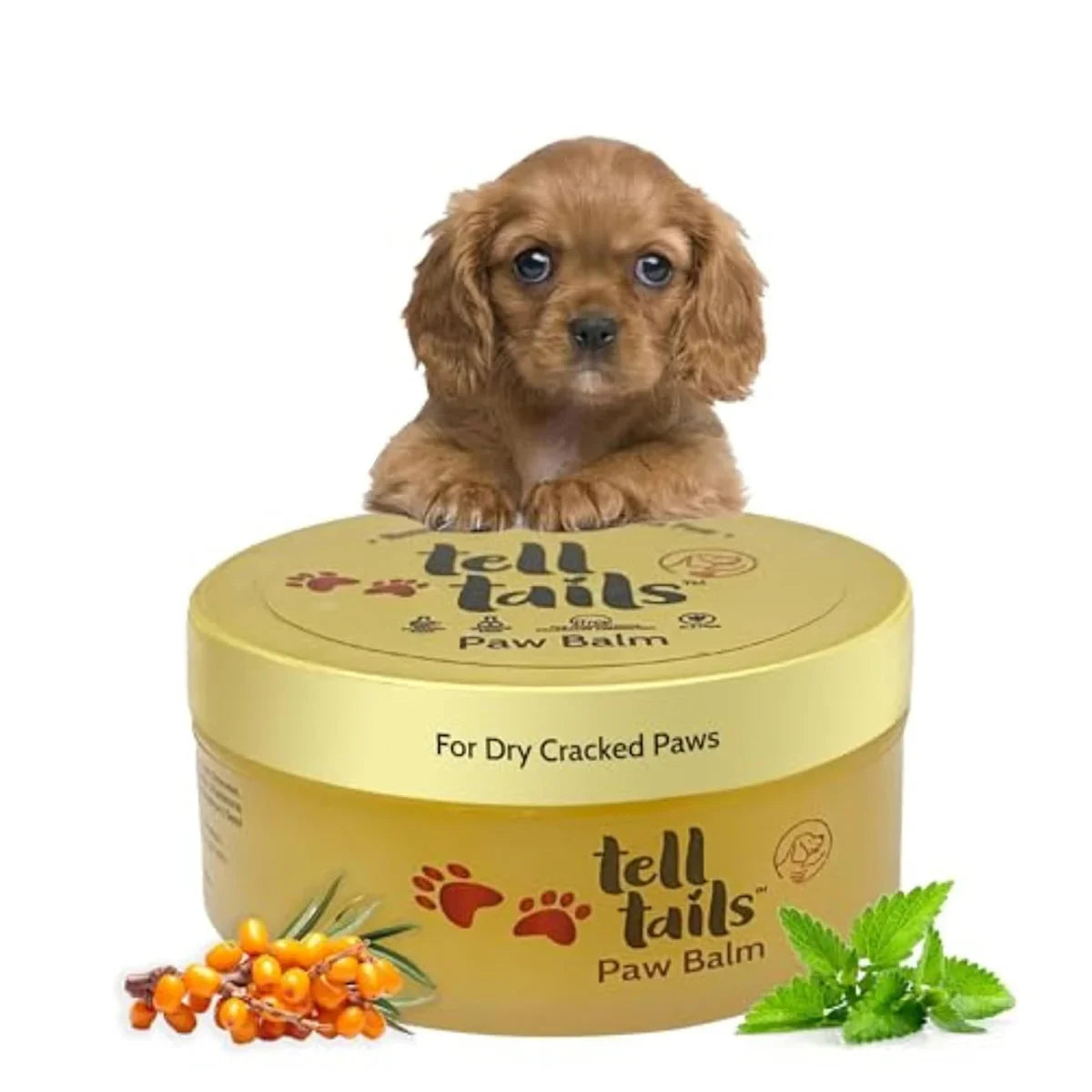 Tell Tails Paw Cream for Dogs - 50g - Zigly