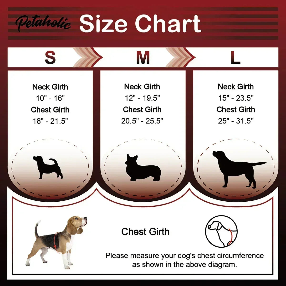 Petaholic Sports Series Dog Harness - Black - Zigly