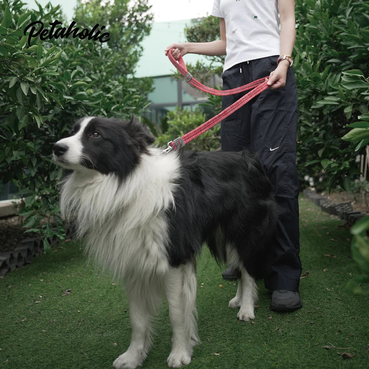 Petaholic Sports Series Dog Leash - Black - Zigly