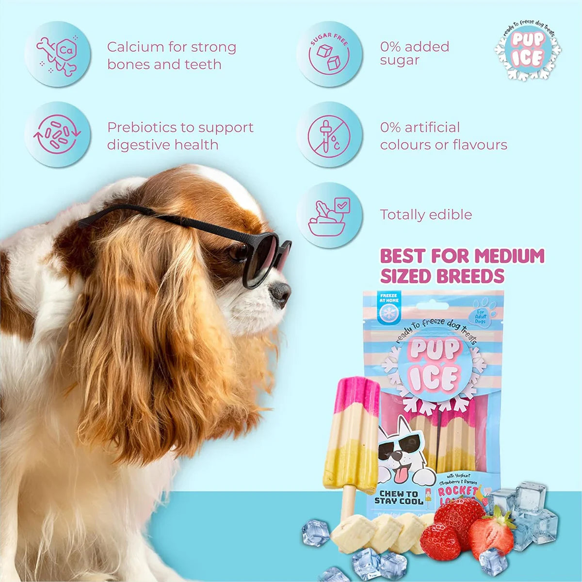 Pup Ice Rocket Lollies, Yoghurt Strawberry & Banana Flavour Dog Treat, 2 Pcs - 90g - Zigly