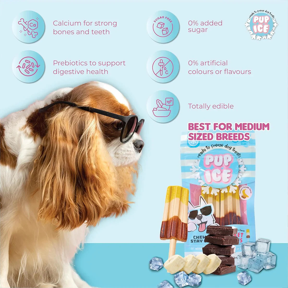 Pup Ice Rocket Lollies, Banana & Chocolate Flavour Dog Treat, 2 Pcs - 90g - Zigly