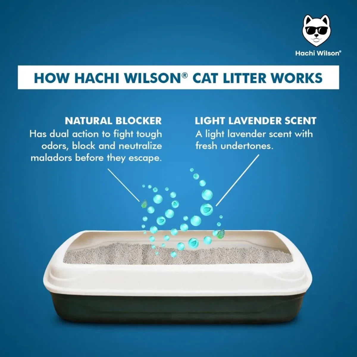 Hachi Wilson Premium 100% Natural Bentonite Cat Litter - 5kg - Zigly