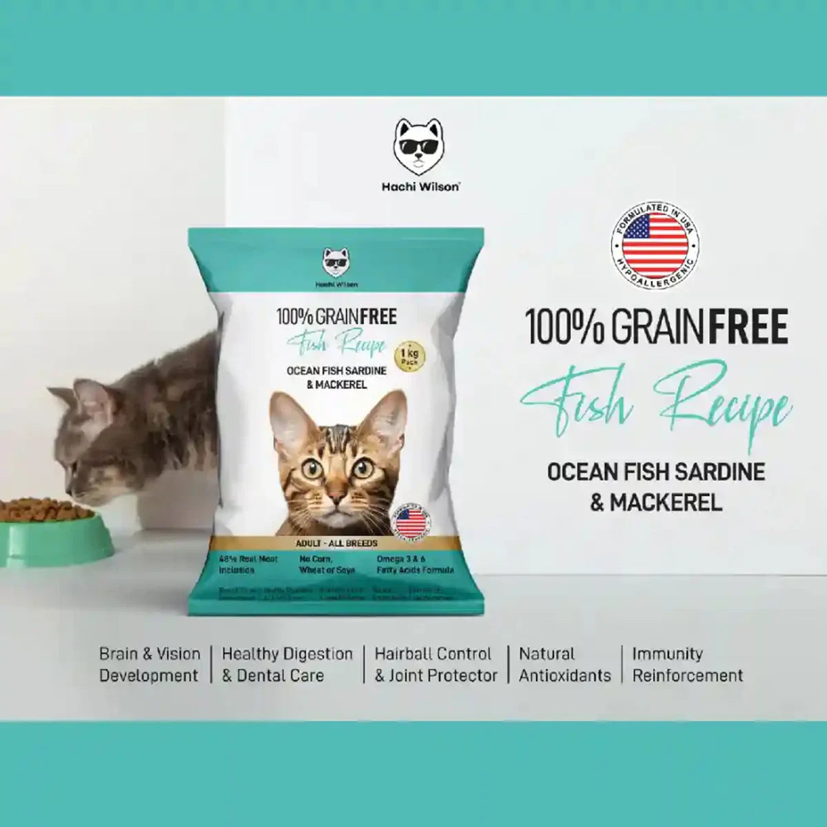 Hachi Wilson Grain Free Ocean Fish Sardine & Mackerel Dry Adult Cat Food (USA Formulated, USFDA Approved) - 1kg - Zigly
