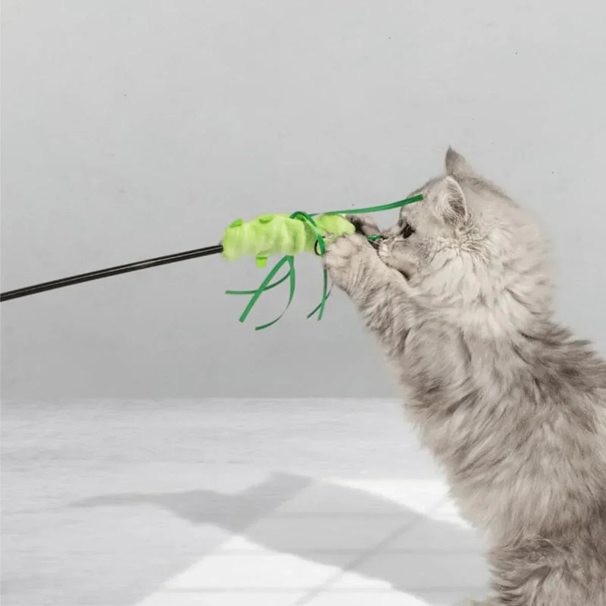 Fluffy gray tabby kitten playing with green zigly cat toy on stick indoors