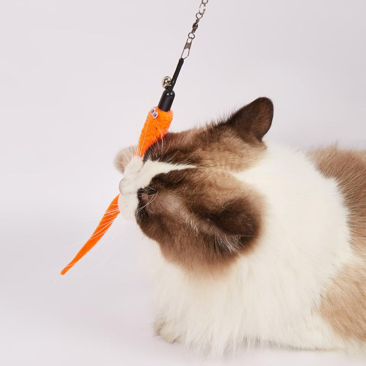 Fofos Retractable Cat Worm Toy Teaser