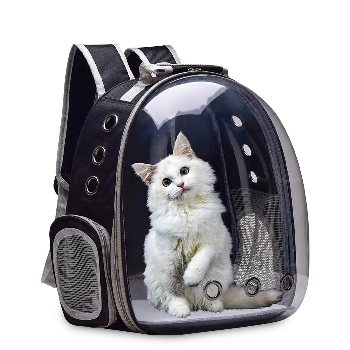 White fluffy cat inside black and gray transparent pet backpack carrier with ventilation holes by zigly