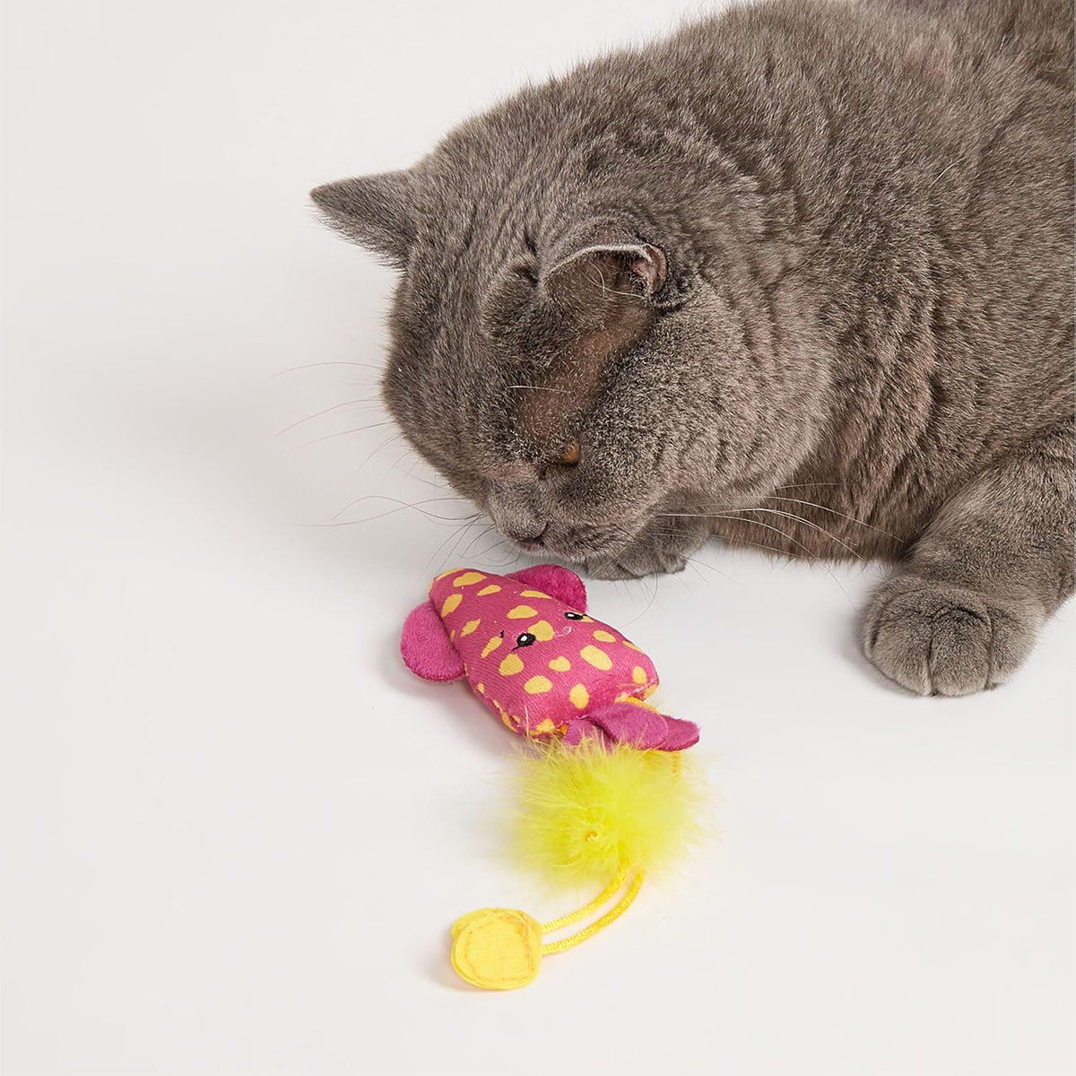 Gray cat sniffing pink and yellow spotted toy mouse with yellow feather, Zigly pet toy
