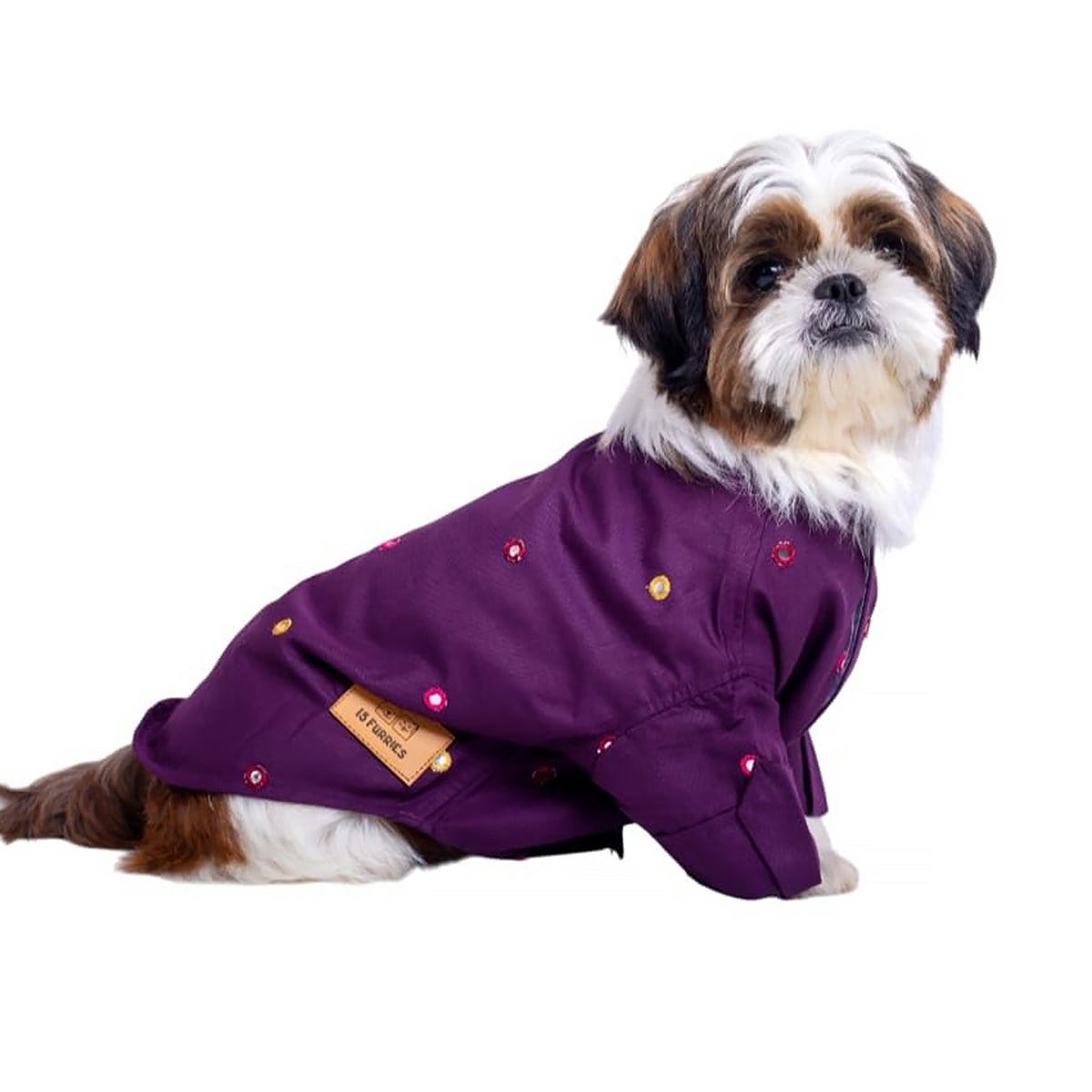 Small dog wearing a purple jacket with colorful circular embroidery by Zigly on white background
