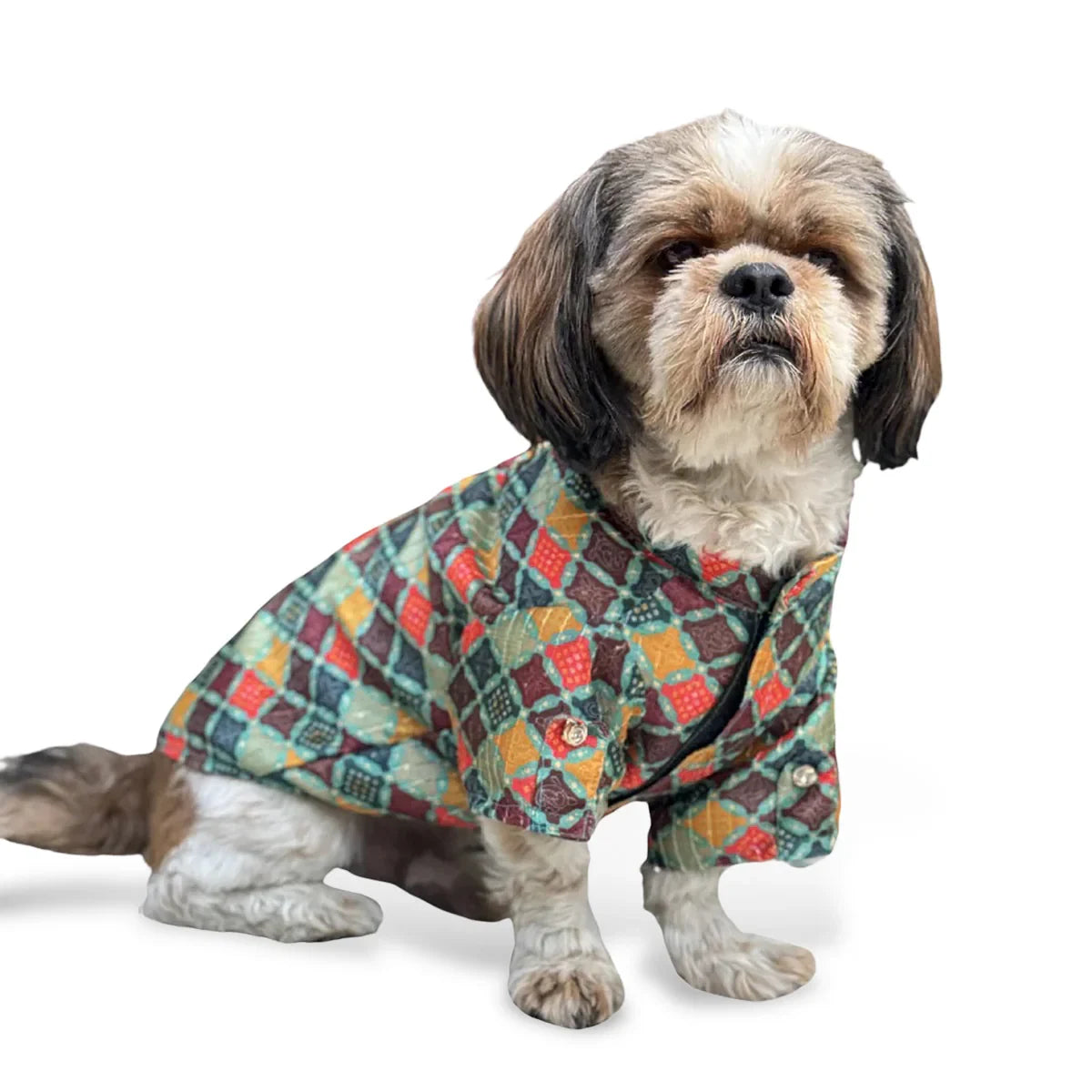Pawgy Pets Silk Dog Kurta Multi - Zigly