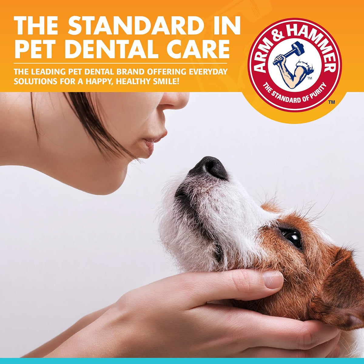 Arm & Hammer Dental Kit For Dogs - Chicken