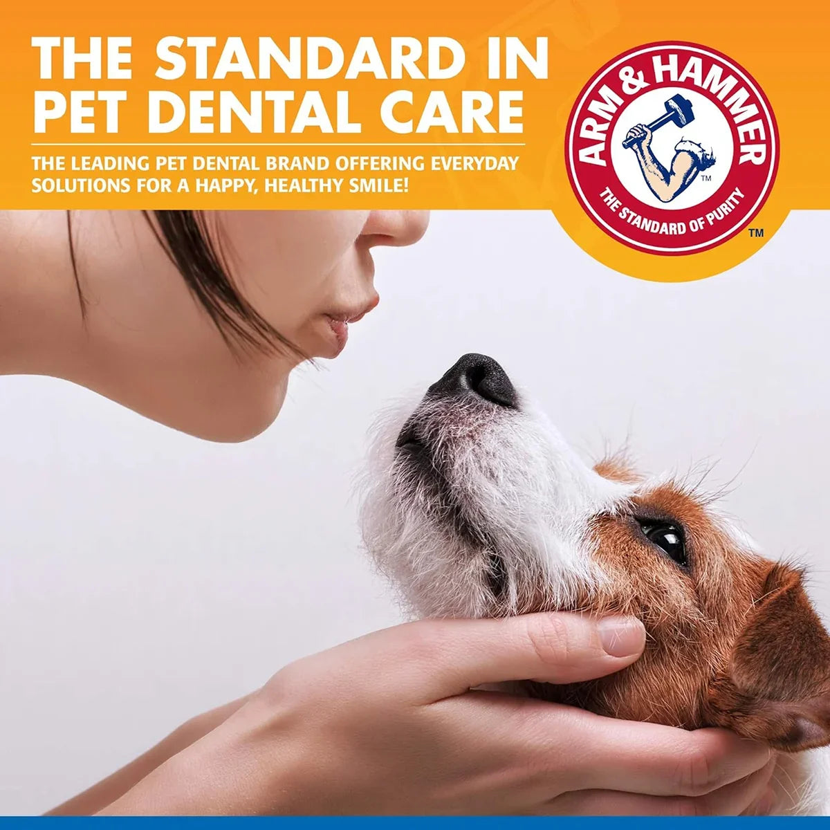 Arm & Hammer pet dental care banner featuring a woman and dog, available at zigly.