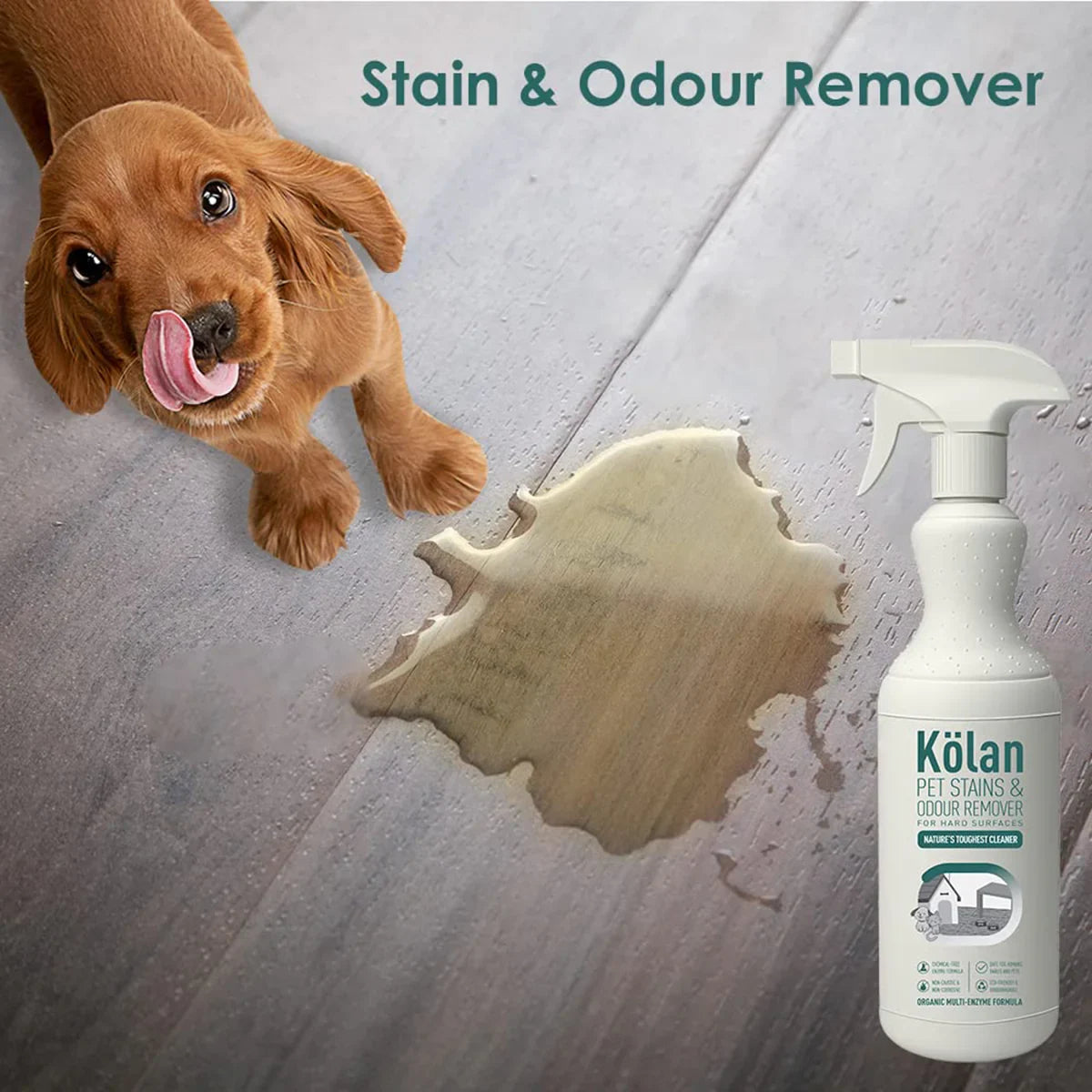 Kolan Pet Stains & Odour Remover Hard Surface  700ml - Zigly
