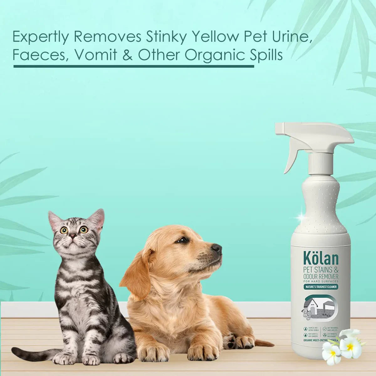 Kolan Pet Stains & Odour Remover Hard Surface  700ml - Zigly