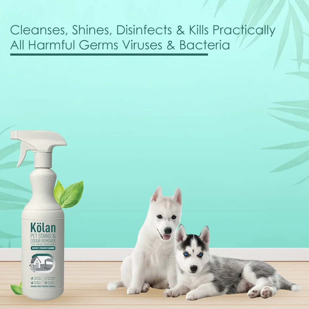 Kolan Pet Stains & Odour Remover Hard Surface  700ml - Zigly