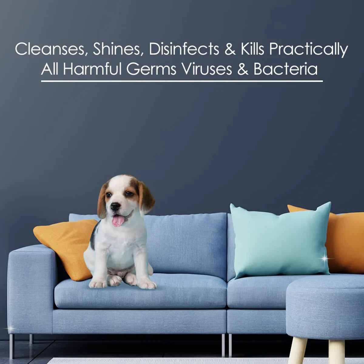 Kolan Pet Stains & Odour Remover Soft Surface  700ml - Zigly