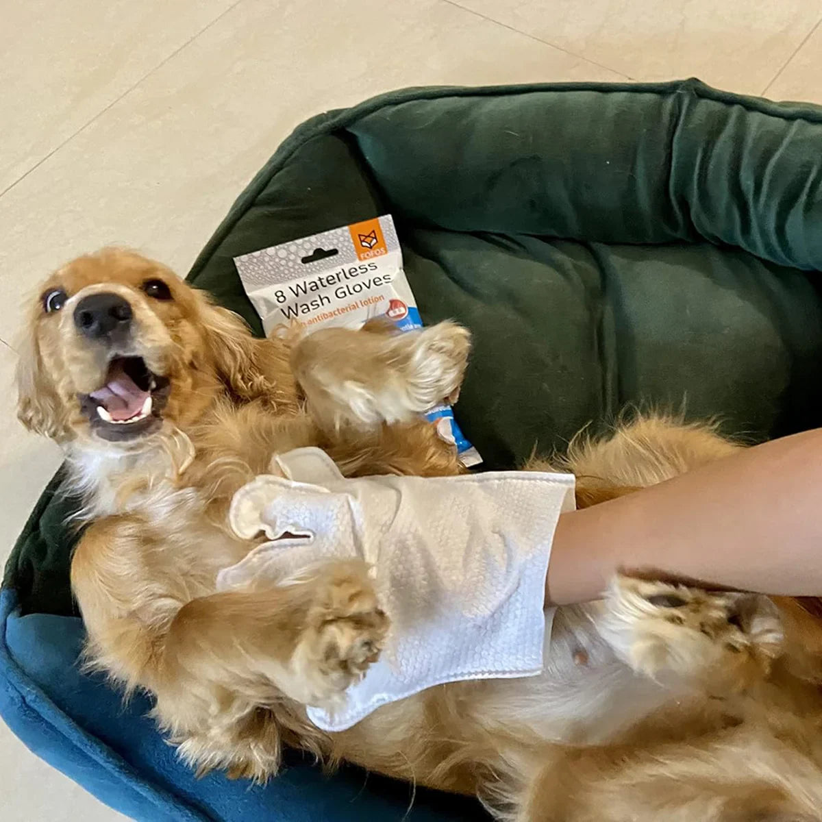 FOFOS 8 Waterless Wash Gloves - Zigly